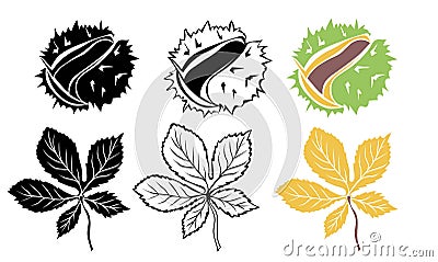 Ð¡hestnuts, leaves and peels outline, in silhouette and colorful isolated on white background Vector Illustration